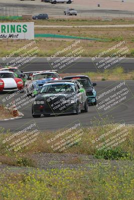 media/May-04-2024-Lucky Dog Racing (Sat) [[d39539b3f3]]/Race Pics/1230pm (Turn 4a)/